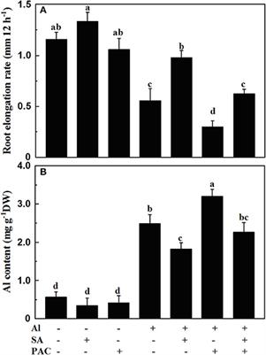 Salicylic Acid Alleviates Aluminum Toxicity in Soybean Roots through Modulation of Reactive Oxygen Species Metabolism